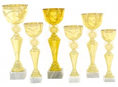 4923 B - Standard Cup