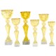4923 B - Standard Cup
