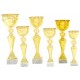 4923 C - Standard Cup